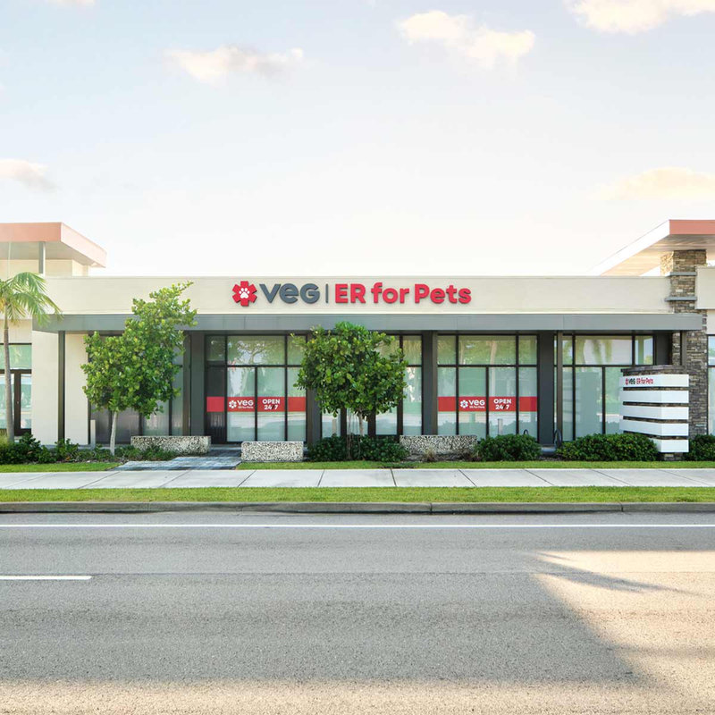 VEG ER for Pets – Fort Lauderdale (24/7 Walk-In Emergency Hospital)